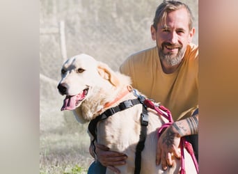 Doya – ein großer Schatz