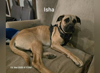 Zauberhaftes Riesenbaby Isha…….