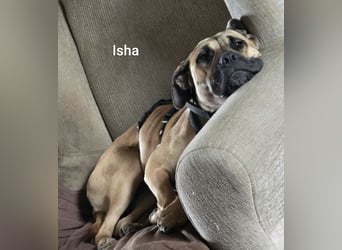 Zauberhaftes Riesenbaby Isha…….