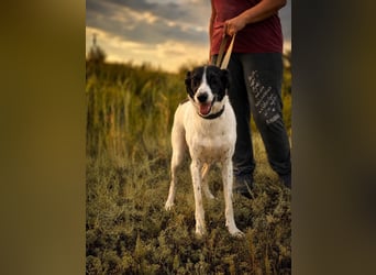 Fröhliche Katja sucht ihre Familie