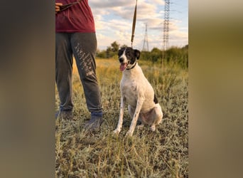 Fröhliche Katja sucht ihre Familie