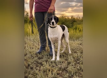 Fröhliche Katja sucht ihre Familie