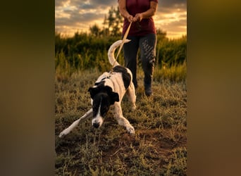 Fröhliche Katja sucht ihre Familie
