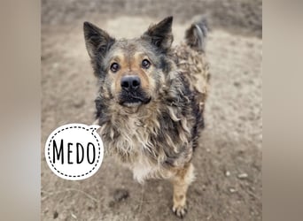 Medo ein Menschenfreund