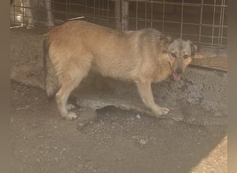 Donna - seit vier Jahren wartet sie auf ihr Glück