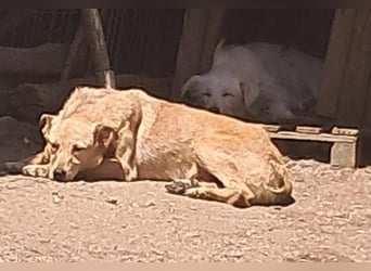Dolores - seit vier Jahren wartet sie auf ihr Glück
