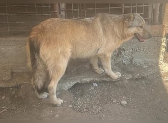 Donna - seit vier Jahren wartet sie auf ihr Glück