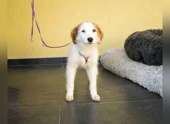 Aleika unsere kleine Schönheit..