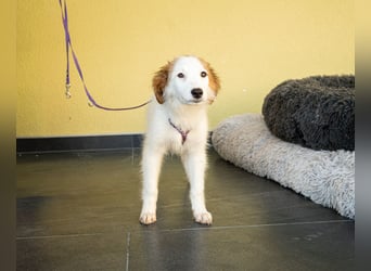 Aleika unsere kleine Schönheit..