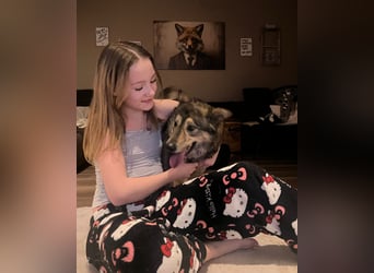 Polly sucht ihr Glück