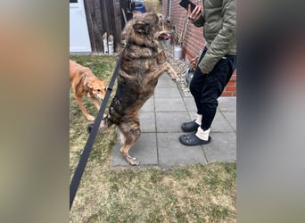 Polly sucht ihr Glück