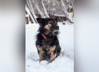 Tarzan - Wundervoller Kumpel (Ukraine)