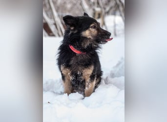 Tarzan - Wundervoller Kumpel (Ukraine)