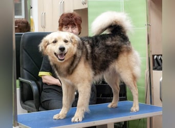 EMIL Absolute Knutschkugel (Ukraine)