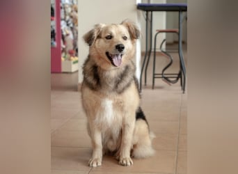 EMIL Absolute Knutschkugel (Ukraine)