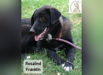 Rosalind Franklin – Ihre Welt darf jetzt größer werden!