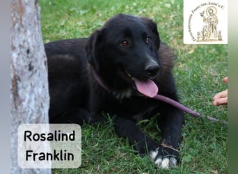 Rosalind Franklin – Ihre Welt darf jetzt größer werden!