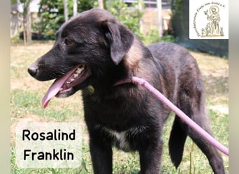 Rosalind Franklin – Ihre Welt darf jetzt größer werden!