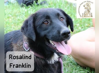 Rosalind Franklin – Ihre Welt darf jetzt größer werden!
