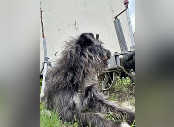 Unsere süße Moni hofft auf ihre Chance!