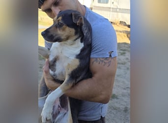 Sina möchte ein liebevolles Zuhause!