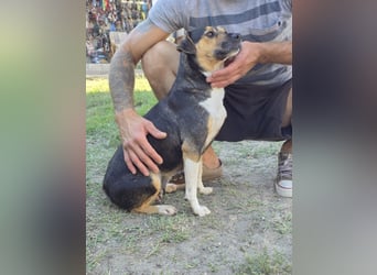 Sina möchte ein liebevolles Zuhause!