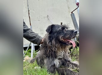 Unsere süße Moni hofft auf ihre Chance!