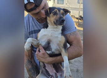 Sina möchte ein liebevolles Zuhause!