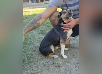 Sina möchte ein liebevolles Zuhause!