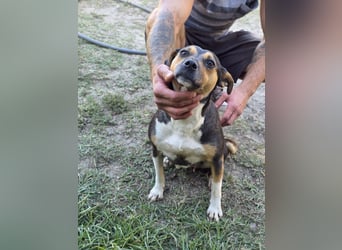 Sina möchte ein liebevolles Zuhause!