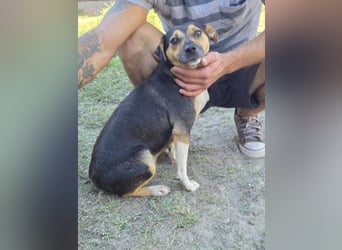 Sina möchte ein liebevolles Zuhause!