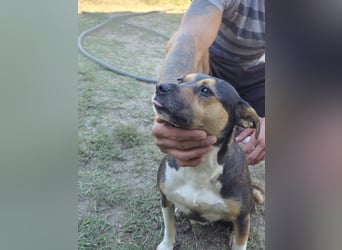 Sina möchte ein liebevolles Zuhause!