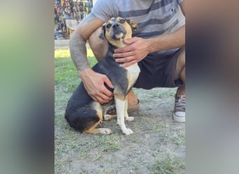 Sina möchte ein liebevolles Zuhause!