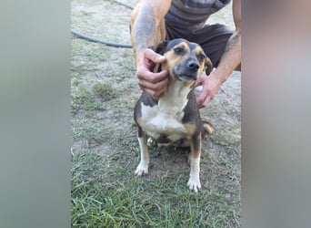 Sina möchte ein liebevolles Zuhause!