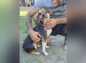 Sina möchte ein liebevolles Zuhause!