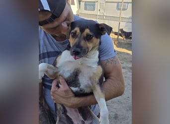 Sina möchte ein liebevolles Zuhause!