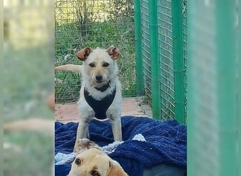 Minu, kleine, zarte, verspielte Zaubermaus