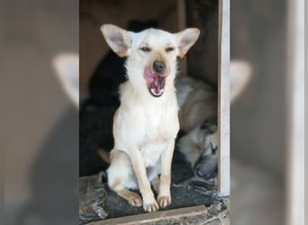 Minu, kleine, zarte, verspielte Zaubermaus