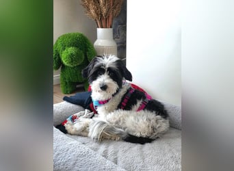 Tilly, Zaubermaus mit Handicap