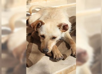 Minu, kleine, zarte, verspielte Zaubermaus