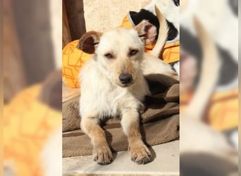 Minu, kleine, zarte, verspielte Zaubermaus