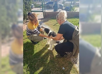 Tilly, Zaubermaus mit Handicap