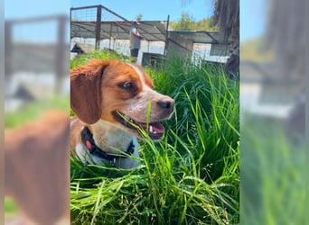 Sonnenschein Lady bringt Freude ins Leben