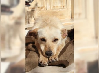 Minu, kleine, zarte, verspielte Zaubermaus