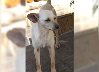 Minu, kleine, zarte, verspielte Zaubermaus