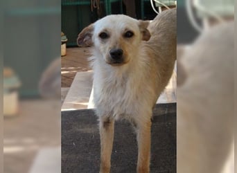 Minu, kleine, zarte, verspielte Zaubermaus