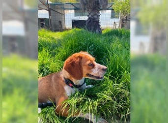 Sonnenschein Lady bringt Freude ins Leben