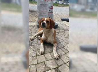 Sonnenschein Lady bringt Freude ins Leben