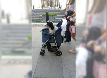 Tilly, Zaubermaus mit Handicap