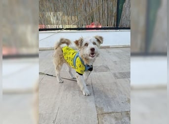 Zuckersüsser Robby sucht seine Familie